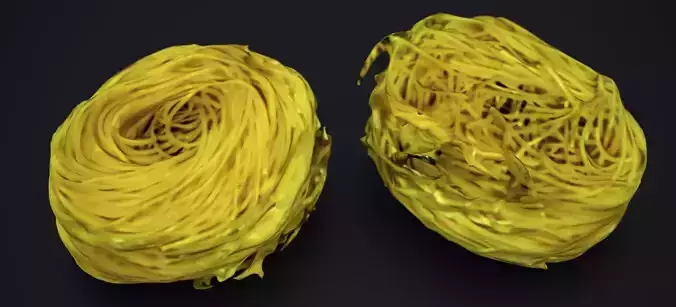 ANGEL HAIR PASTA ROLL 2024