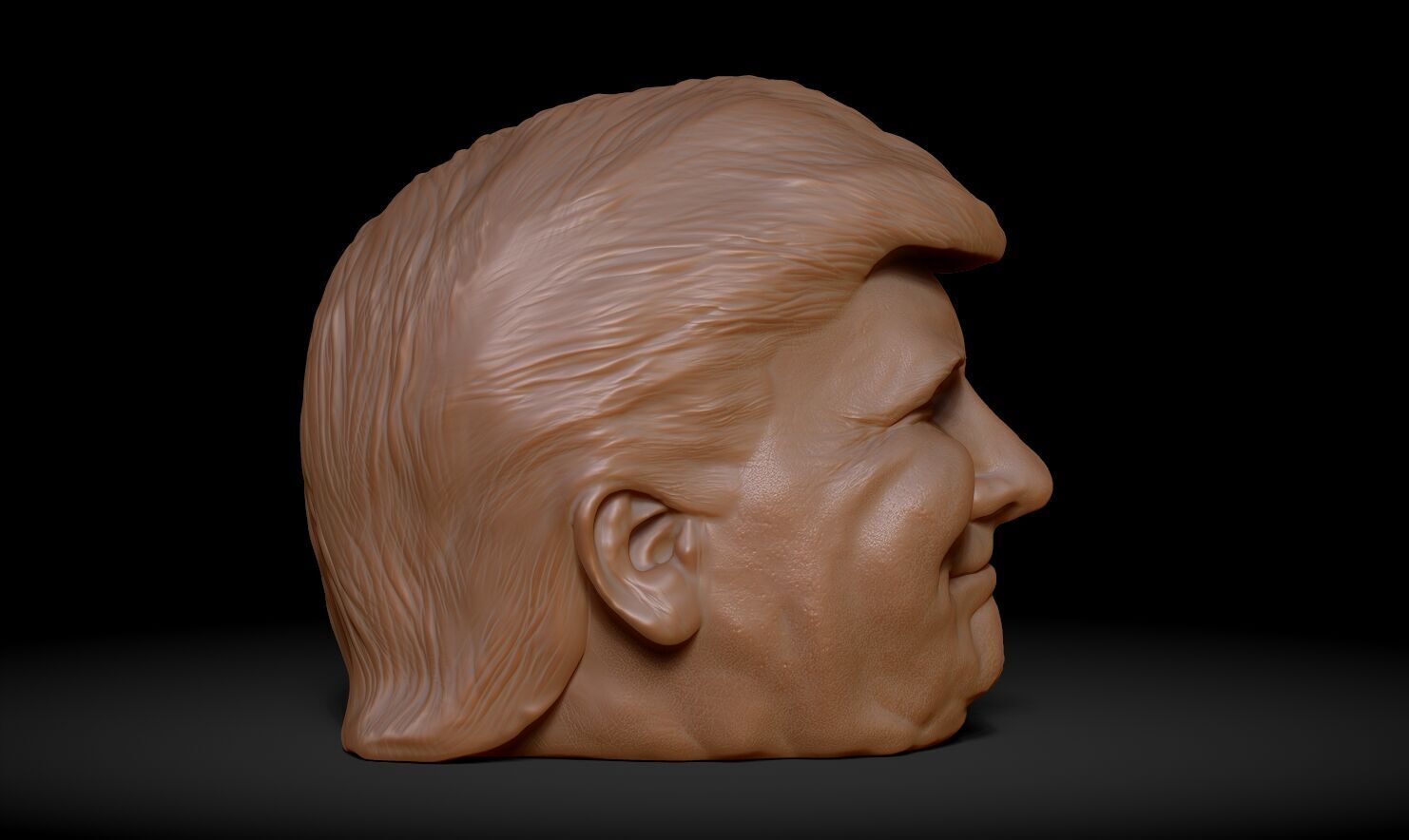 Donald Trump Headphone Stand  3D print model_20