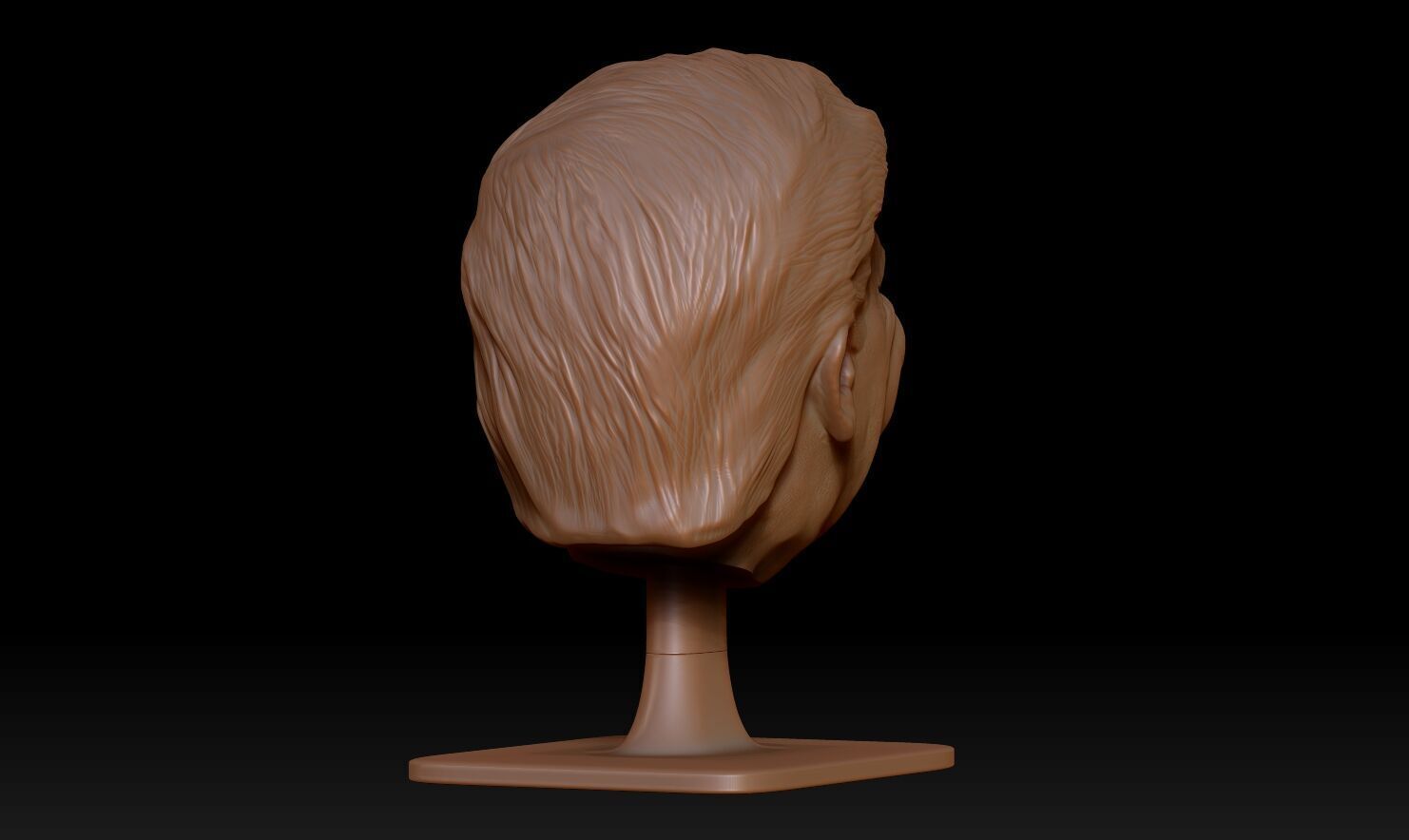 Donald Trump Headphone Stand  3D print model_14