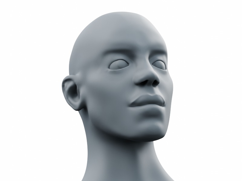 Young Male Head High-Poly 3D model_6