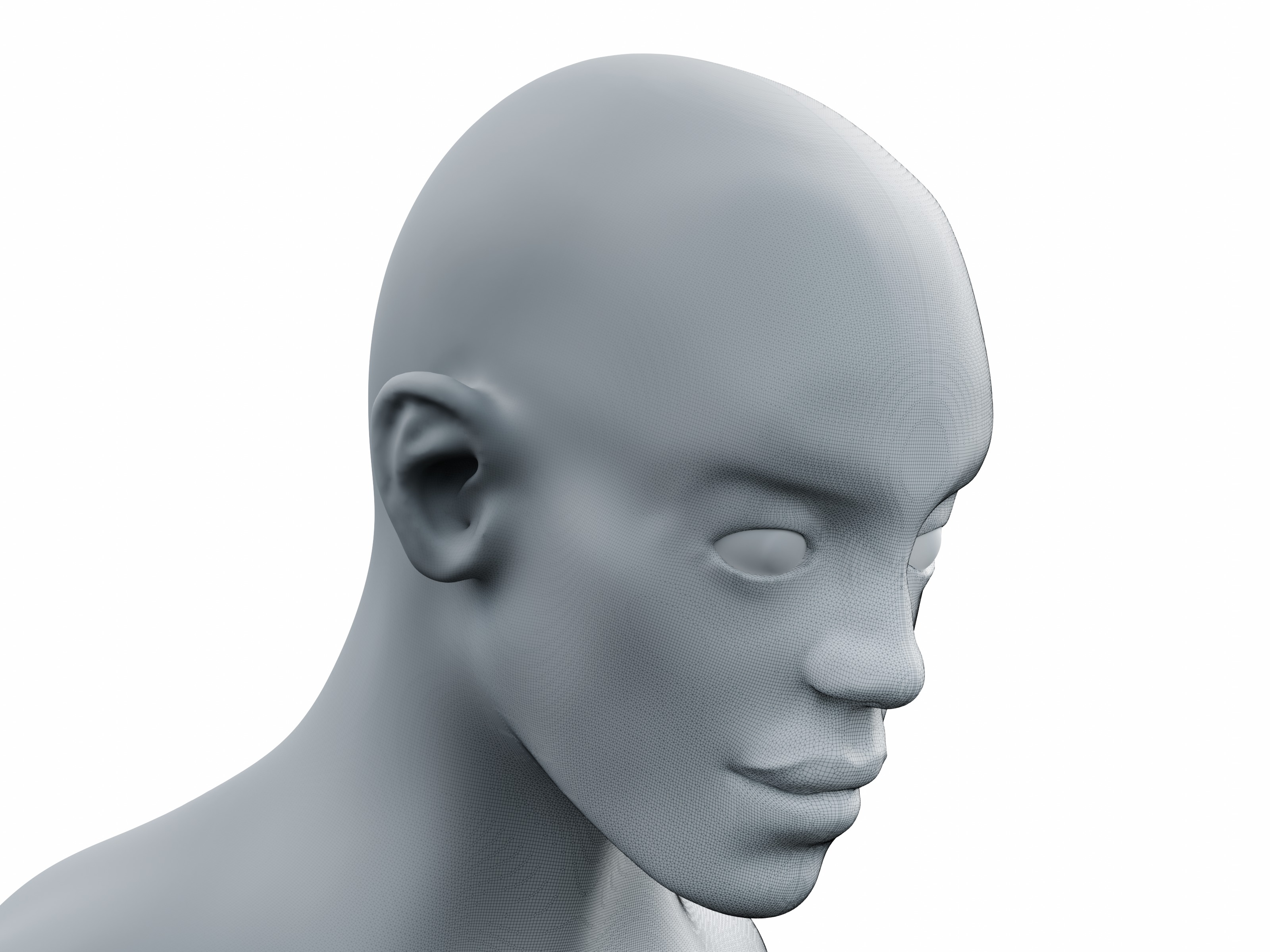 Young Male Head High-Poly 3D model_3