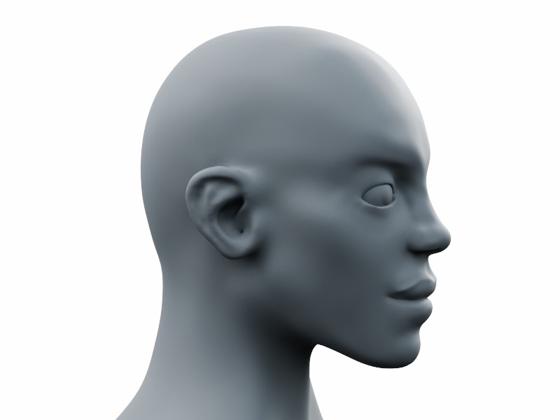 Young Male Head High-Poly 3D model_5