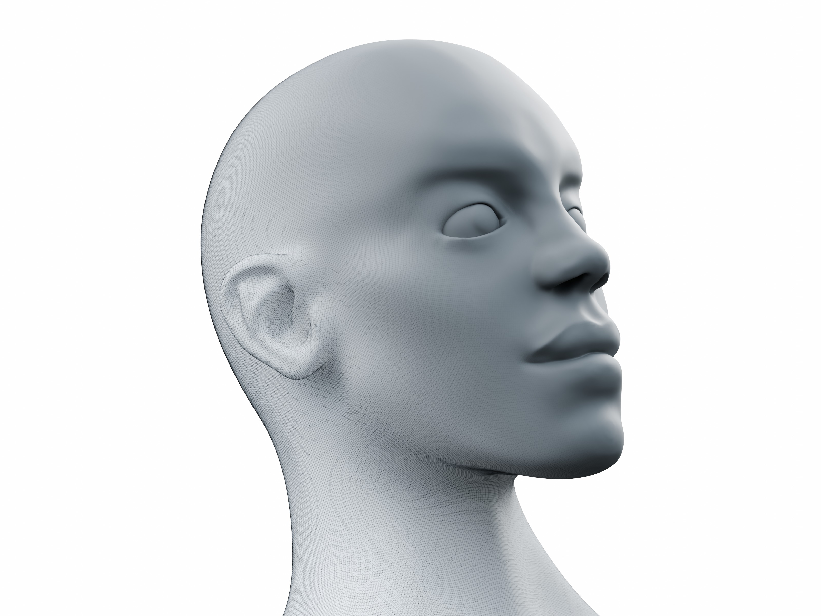 Young Male Head High-Poly 3D model_1