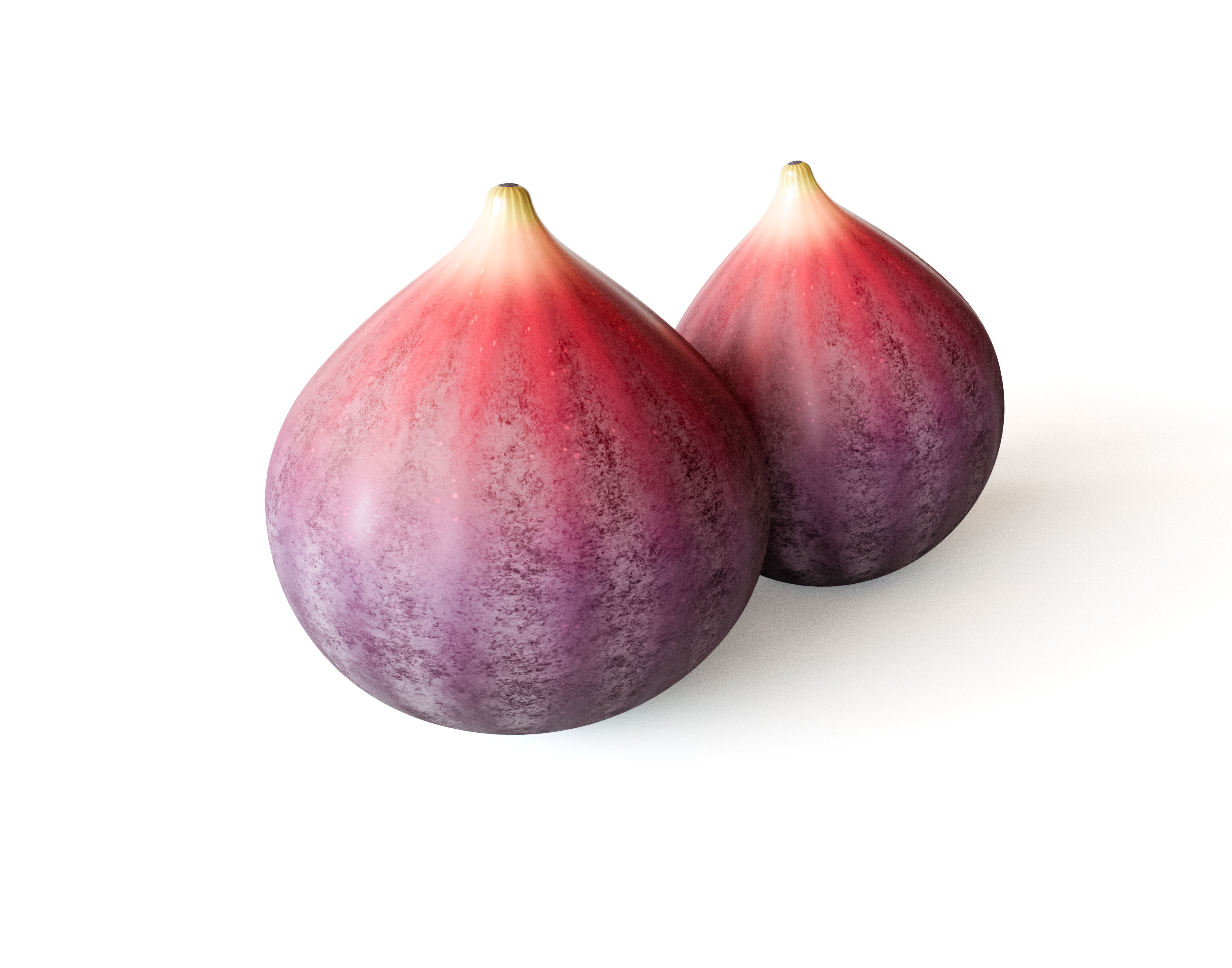 Fig Fruit 3D model_3