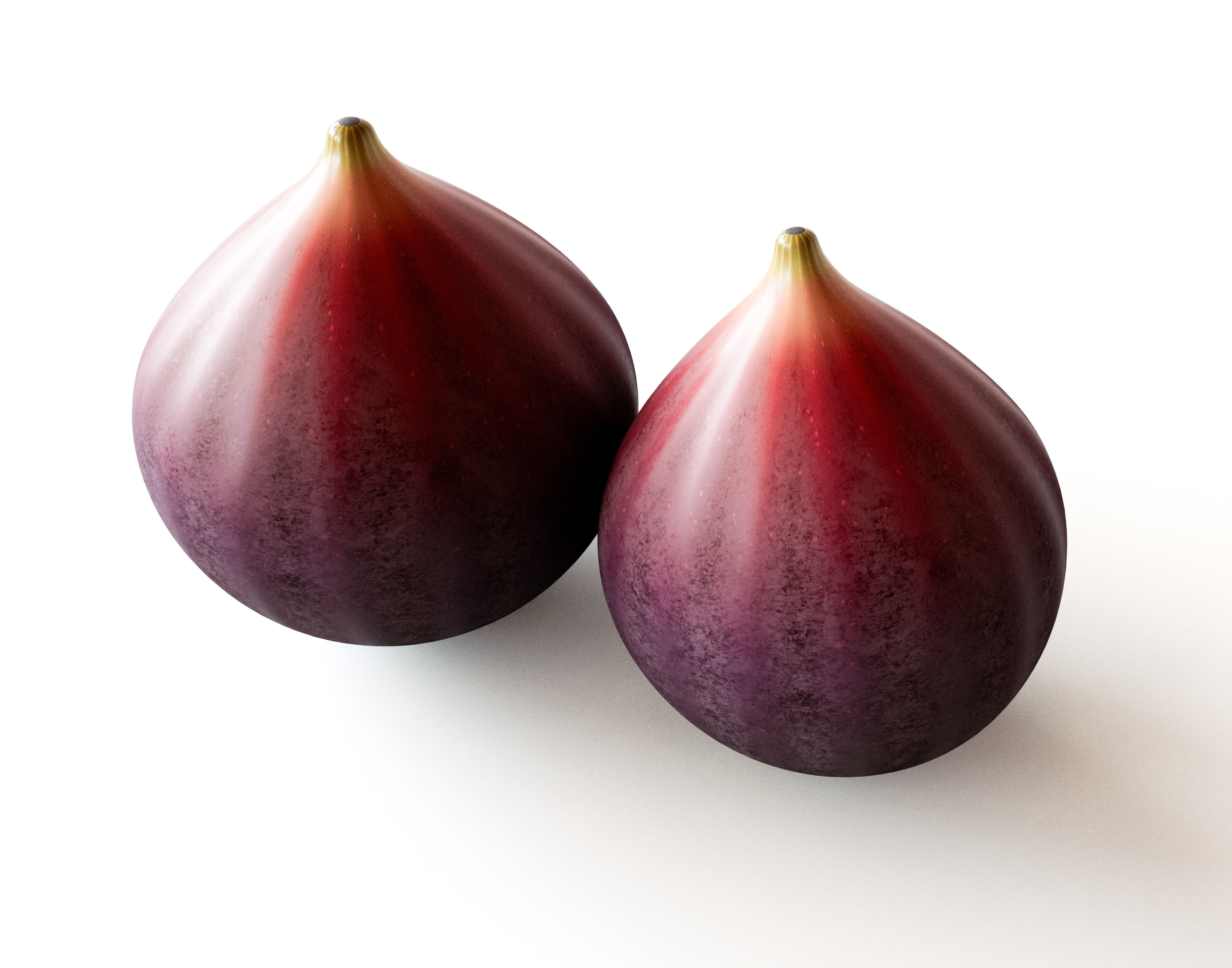 Fig Fruit 3D model_2