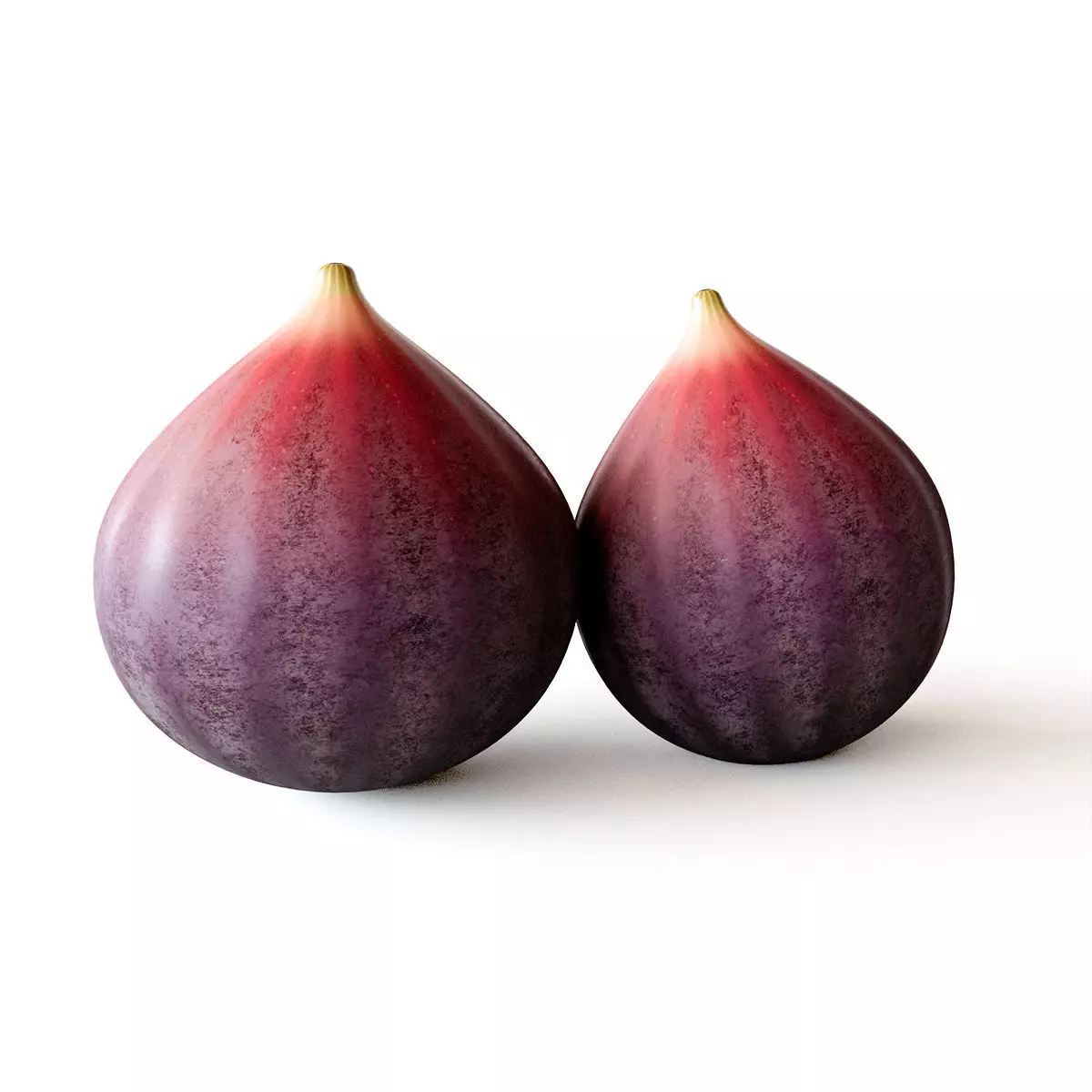 Fig Fruit 3D model_0