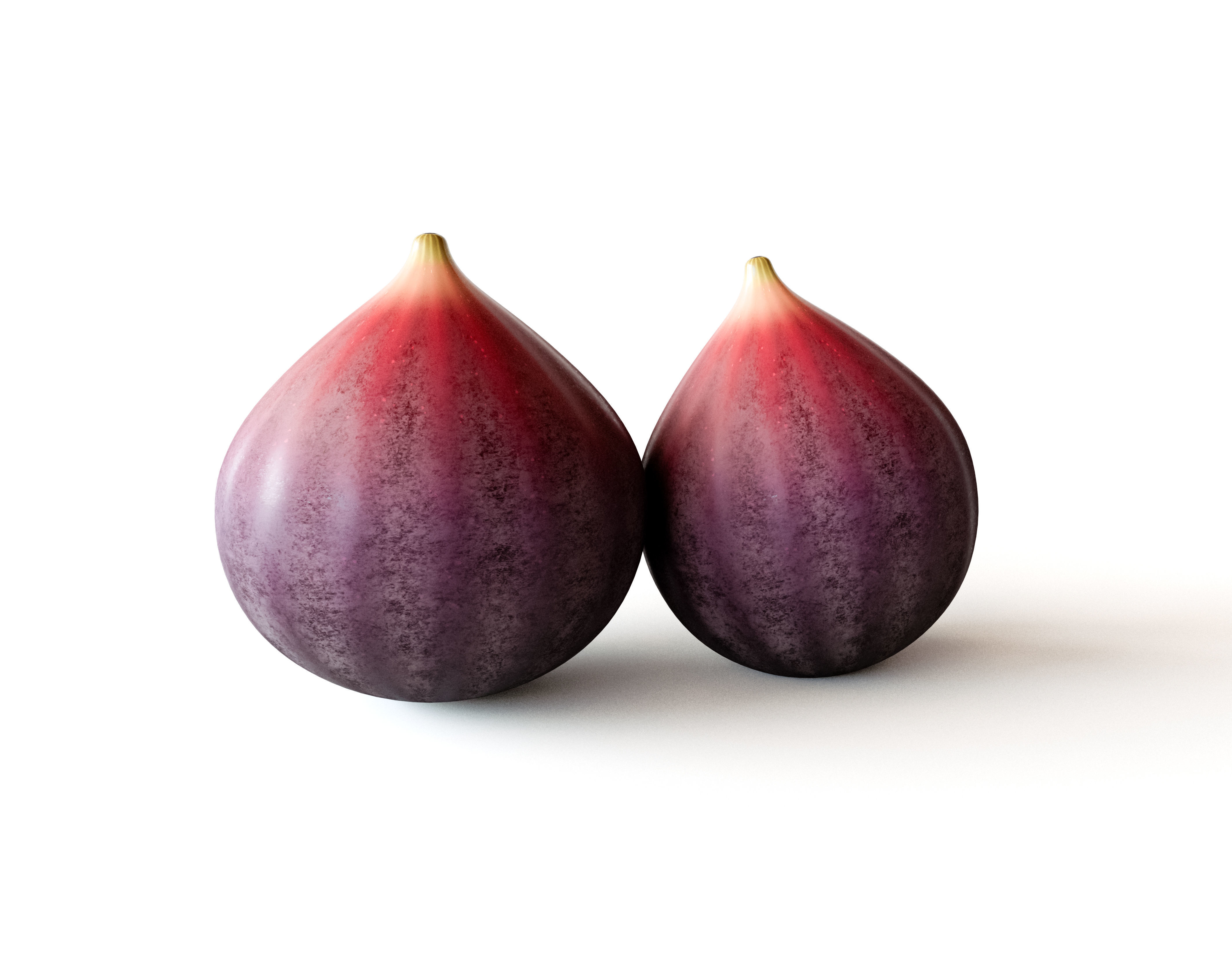 Fig Fruit 3D model_4