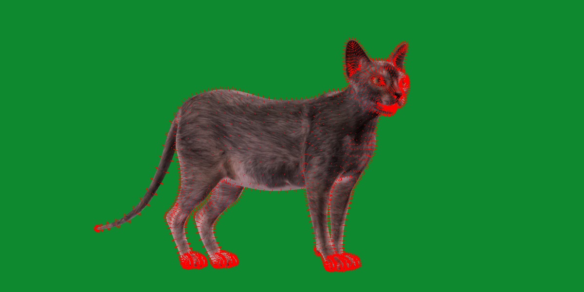 Lykoi Wolf Cat Low-poly 3D model_40