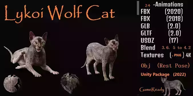 Lykoi Wolf Cat