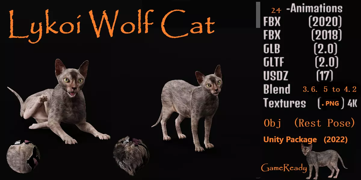 Lykoi Wolf Cat Low-poly 3D model_0