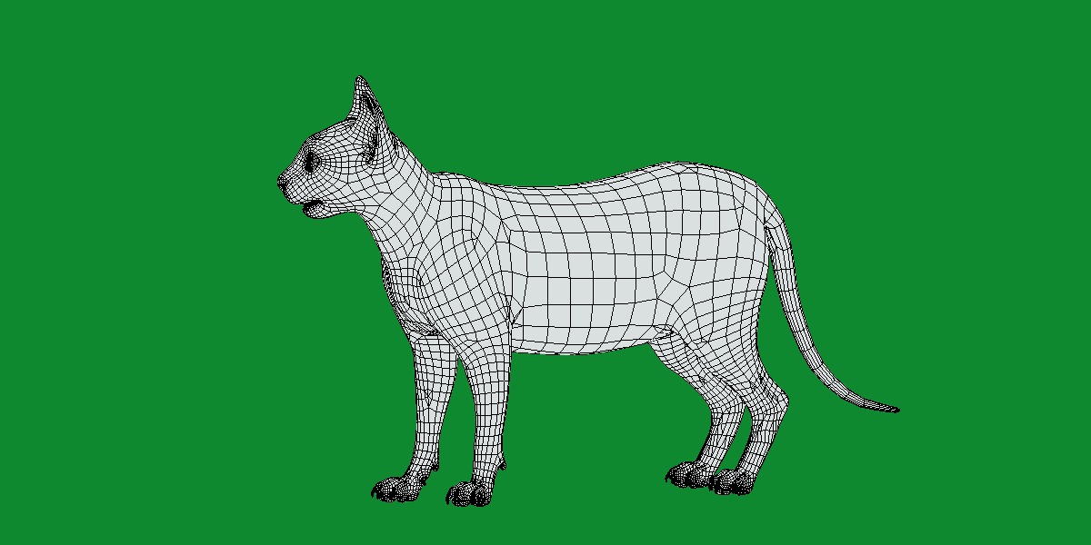 Lykoi Wolf Cat Low-poly 3D model_30