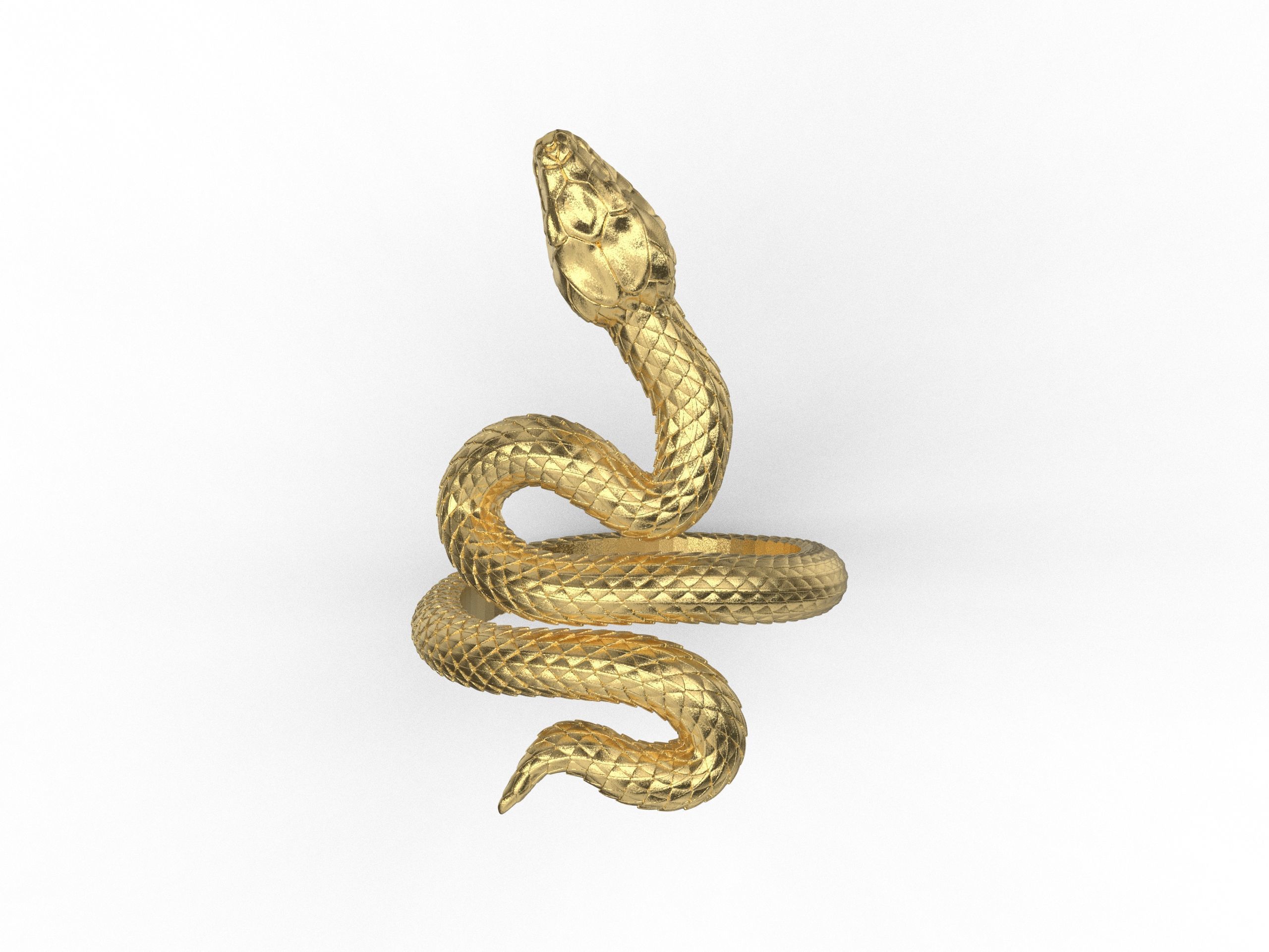 Snake Ring 3D print model 3D print model_25