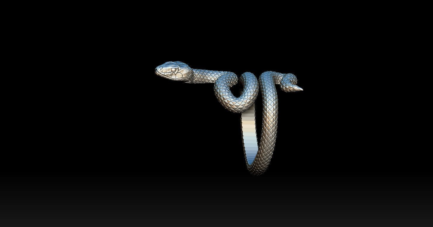 Snake Ring 3D print model 3D print model_11
