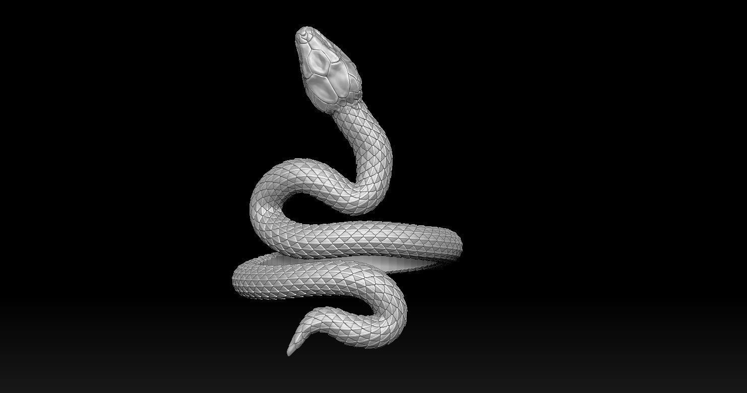 Snake Ring 3D print model 3D print model_15