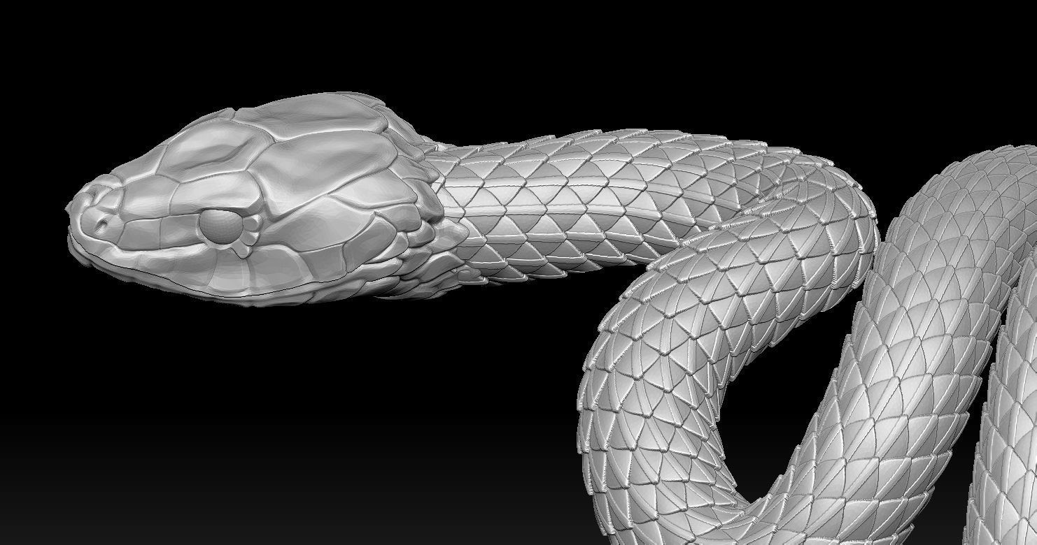 Snake Ring 3D print model 3D print model_7