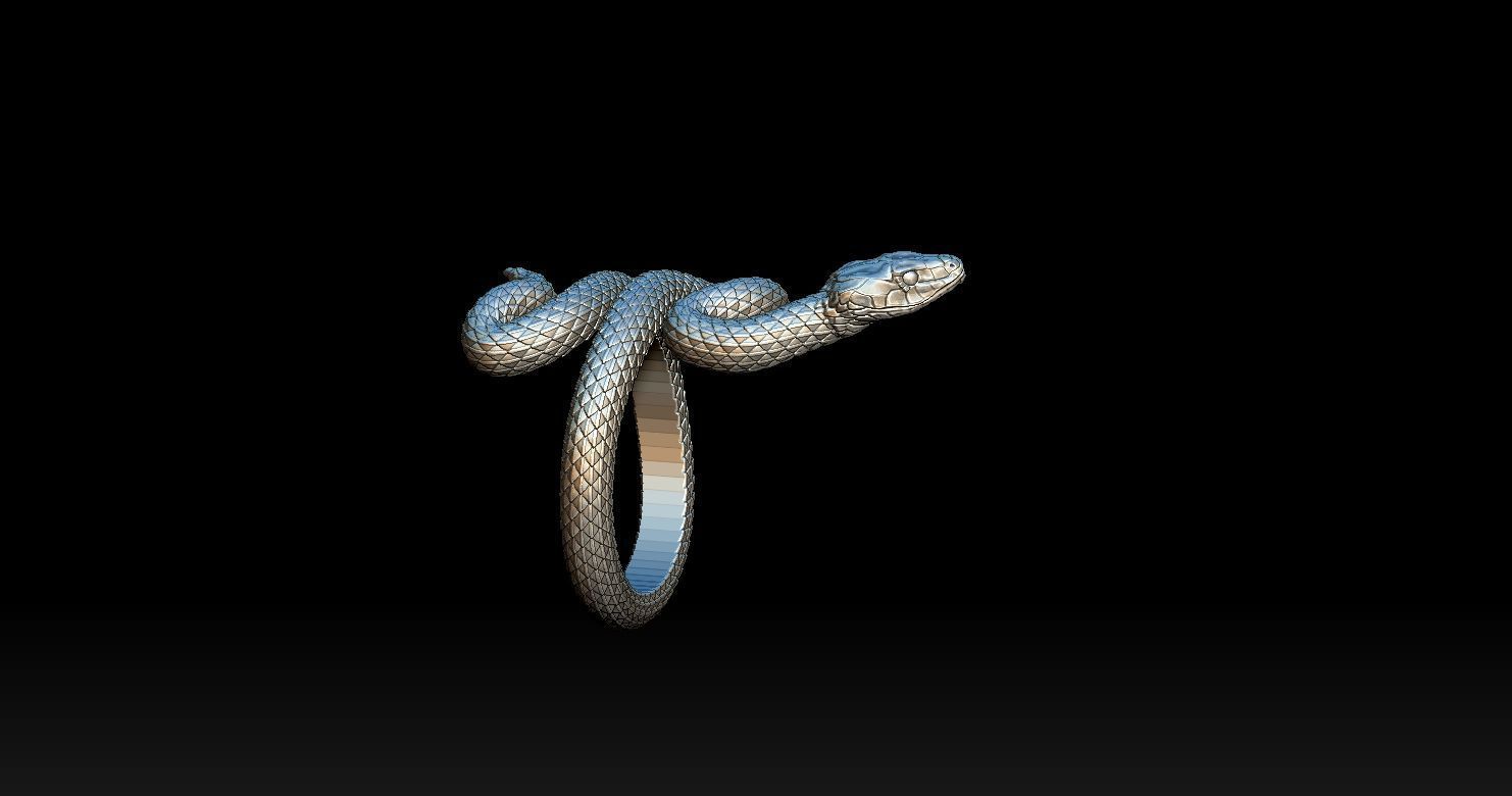 Snake Ring 3D print model 3D print model_10