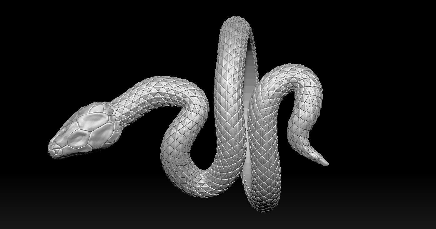 Snake Ring 3D print model 3D print model_13
