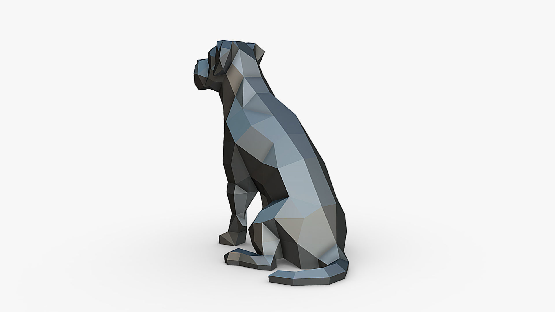 Cane Corso dog 3D print model_4