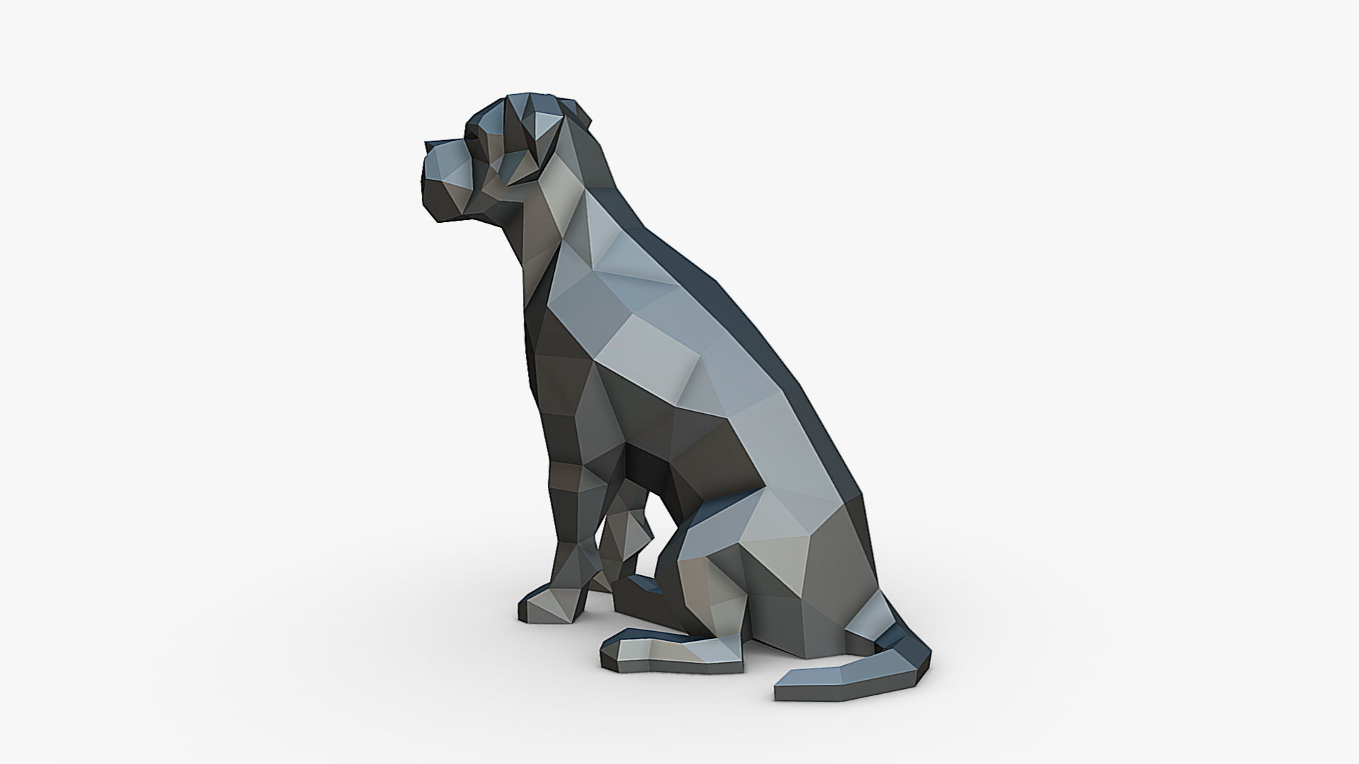 Cane Corso dog 3D print model_3