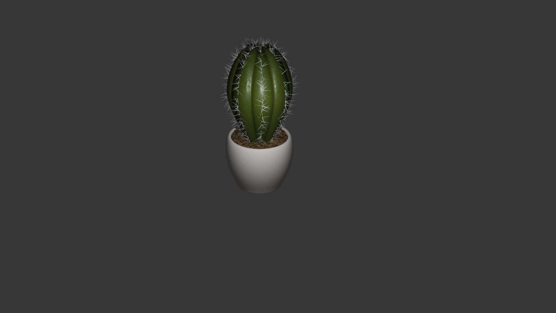 Cactus 3D model_3
