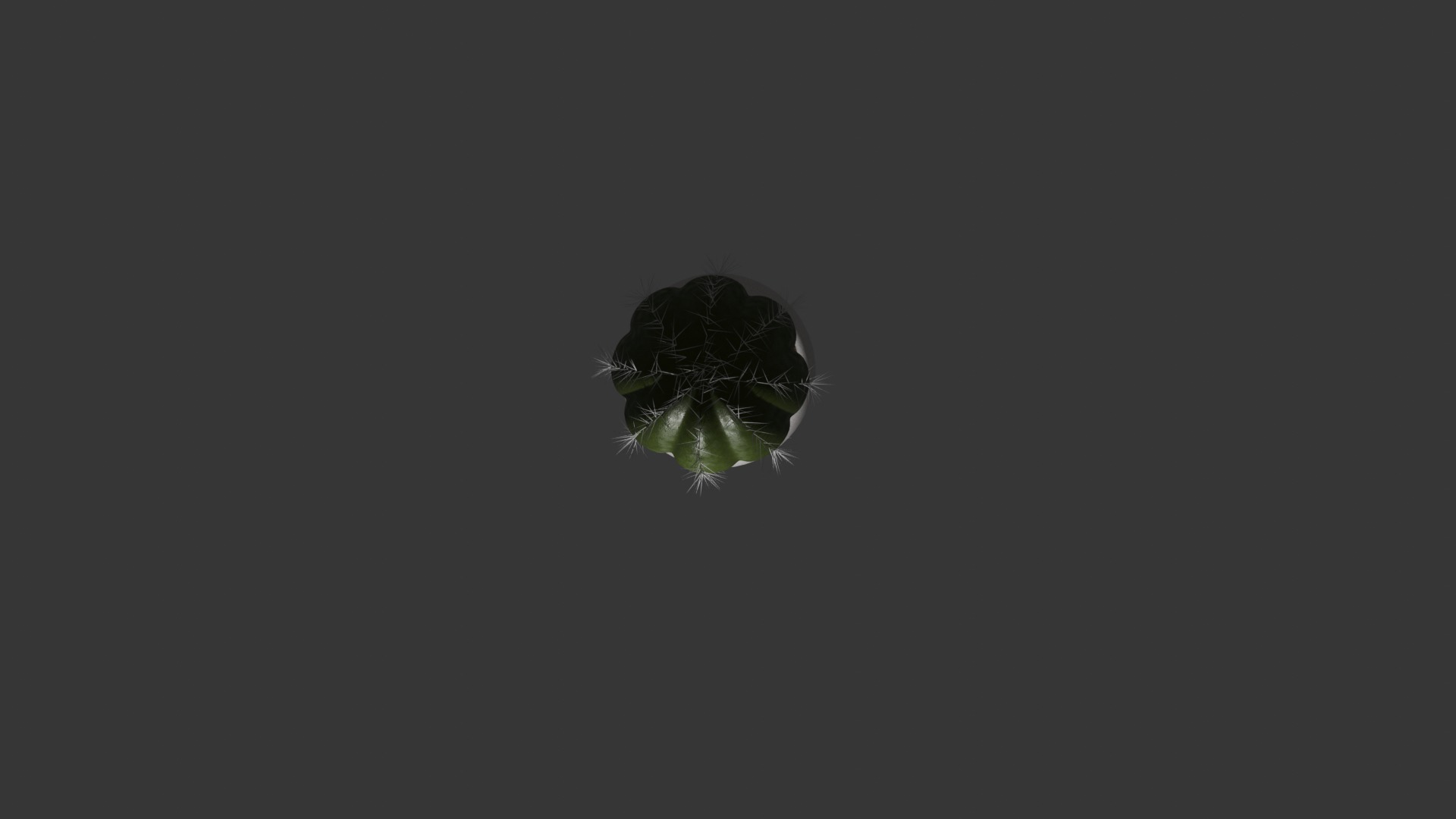 Cactus 3D model_5
