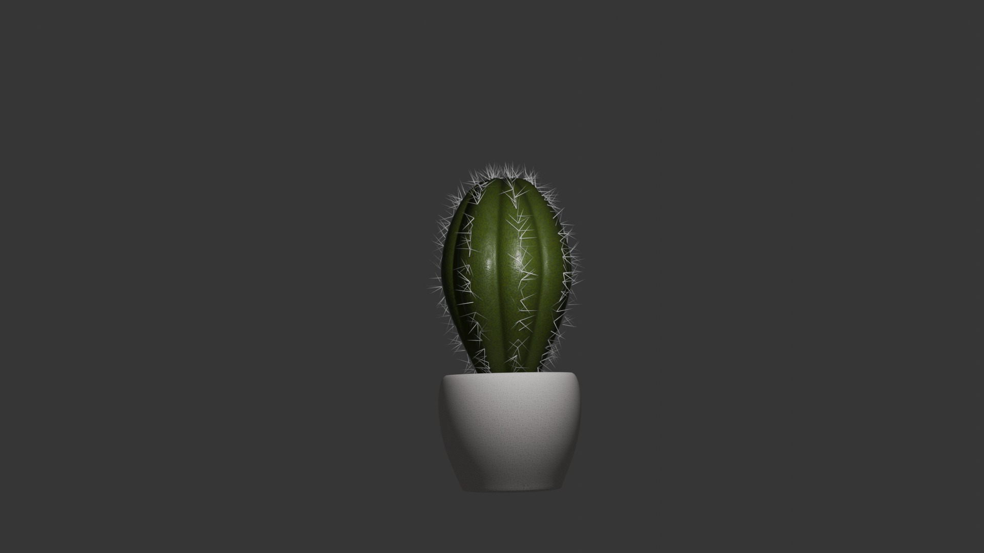 Cactus 3D model_2