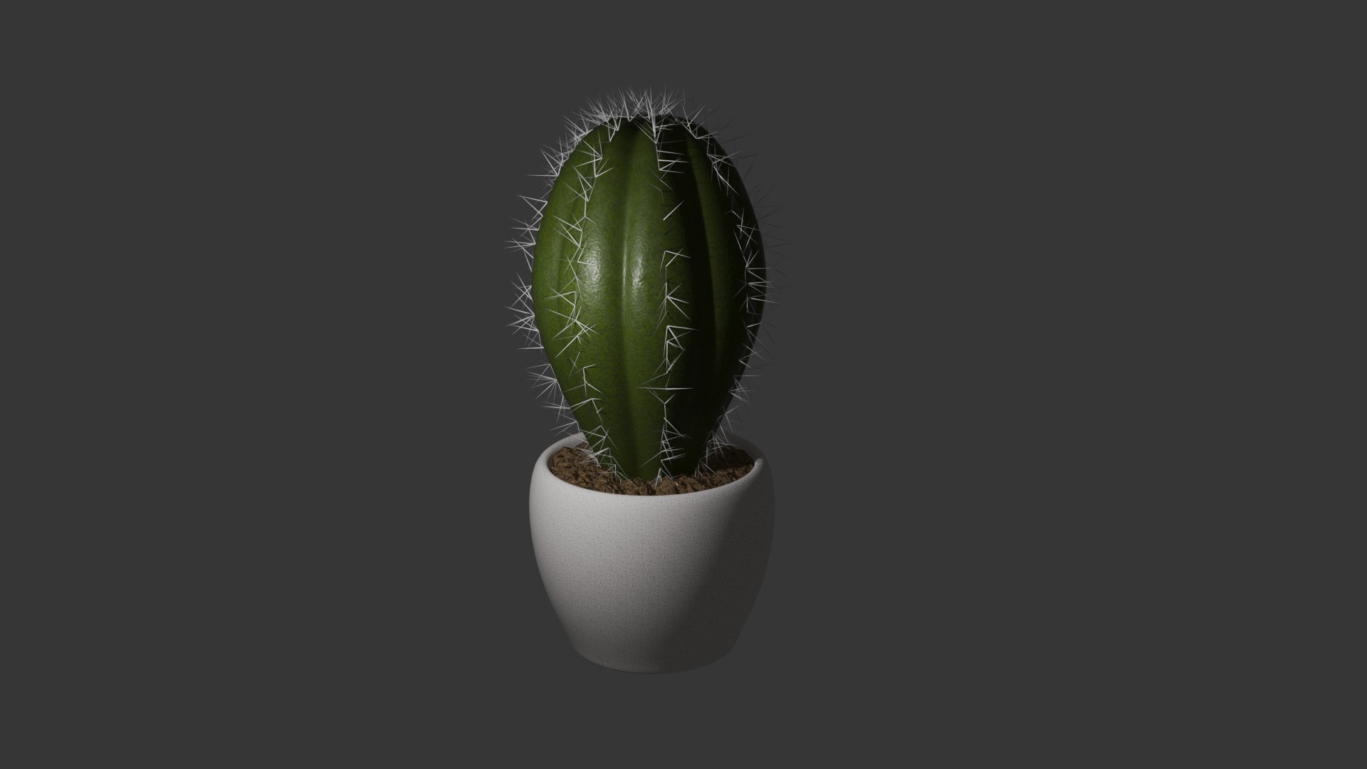 Cactus 3D model_1