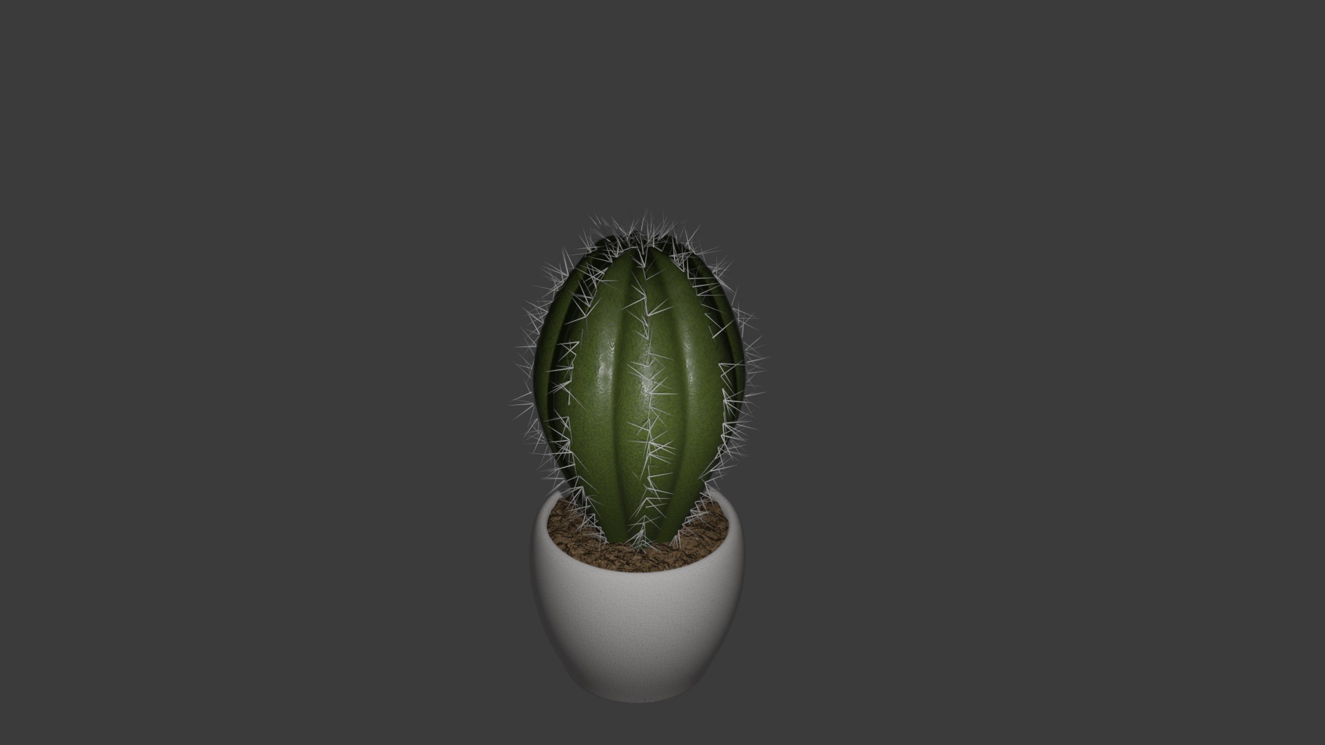 Cactus 3D model_4