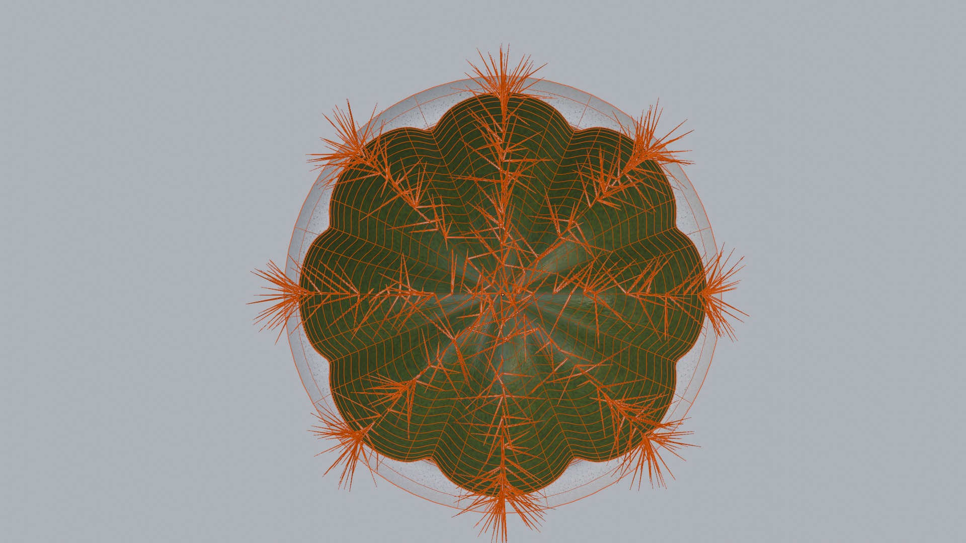 Cactus 3D model_6