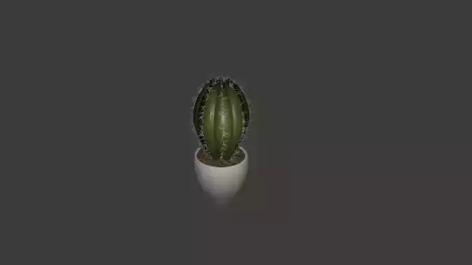 Cactus