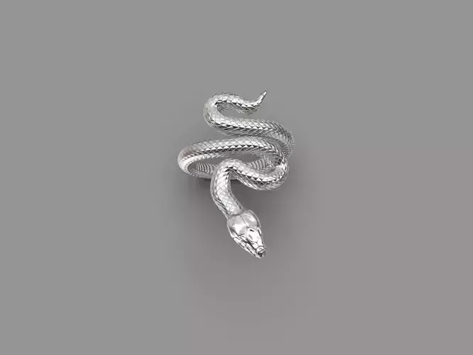 Snake Ring 3D print model