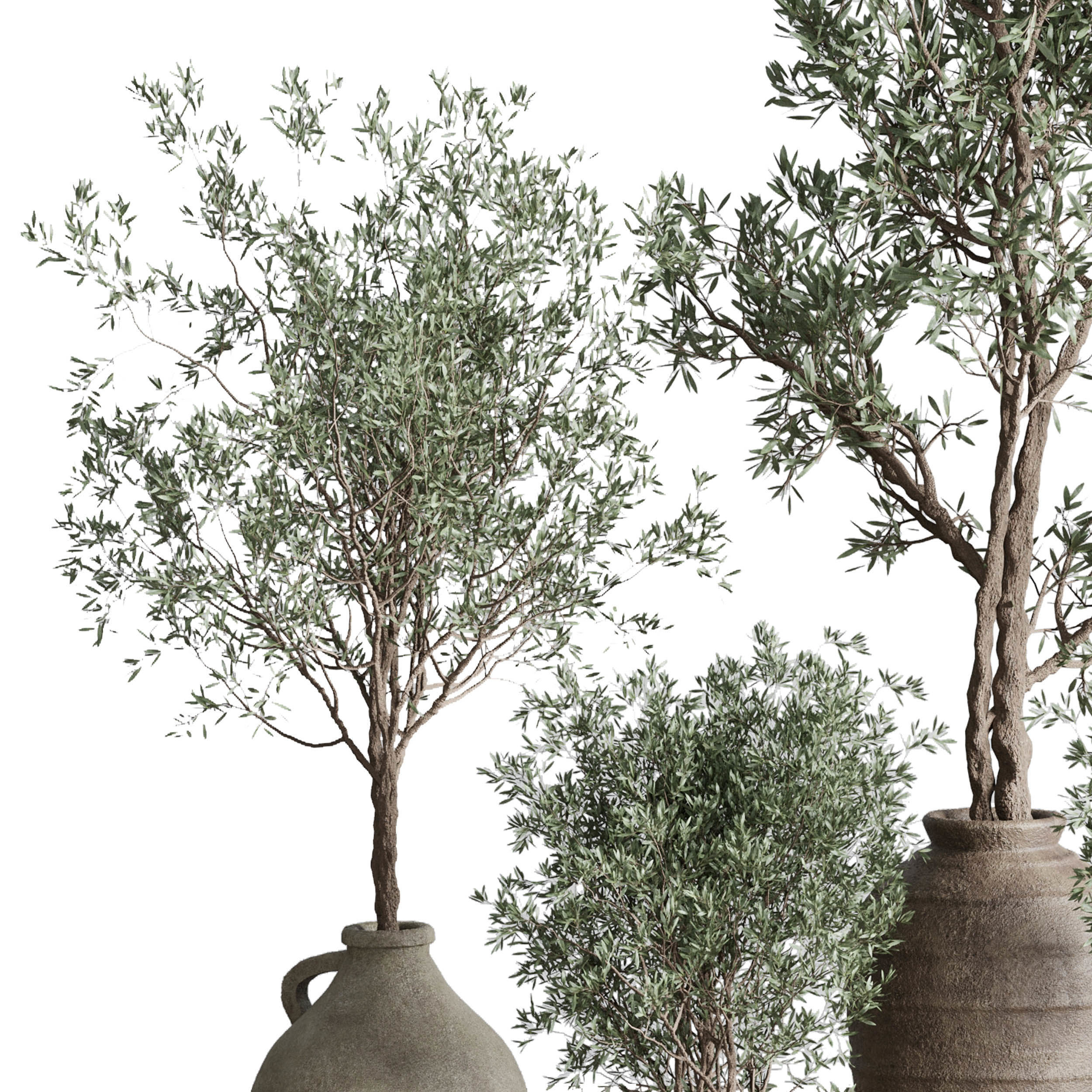 Olive tree in an old earthenware vase  - Indoor plant set 553 3D model_3
