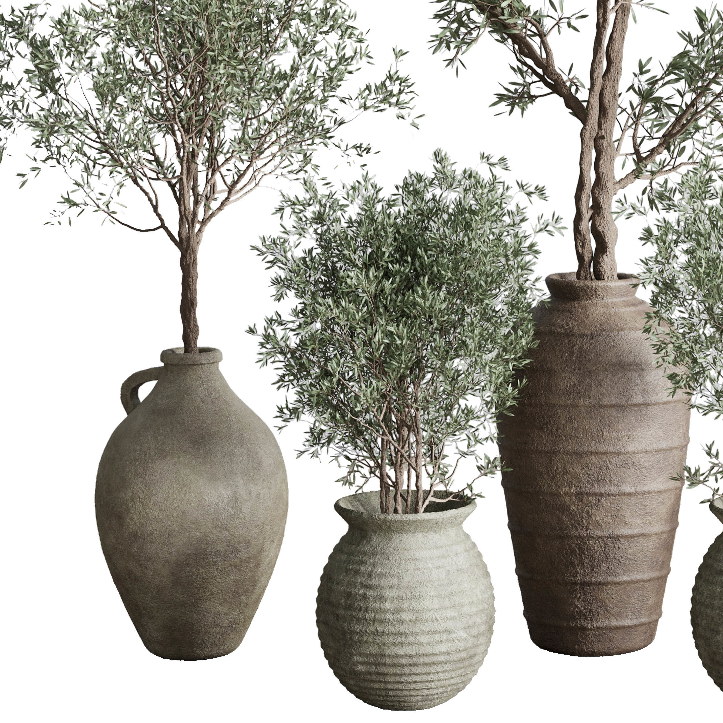 Olive tree in an old earthenware vase  - Indoor plant set 553 3D model_2