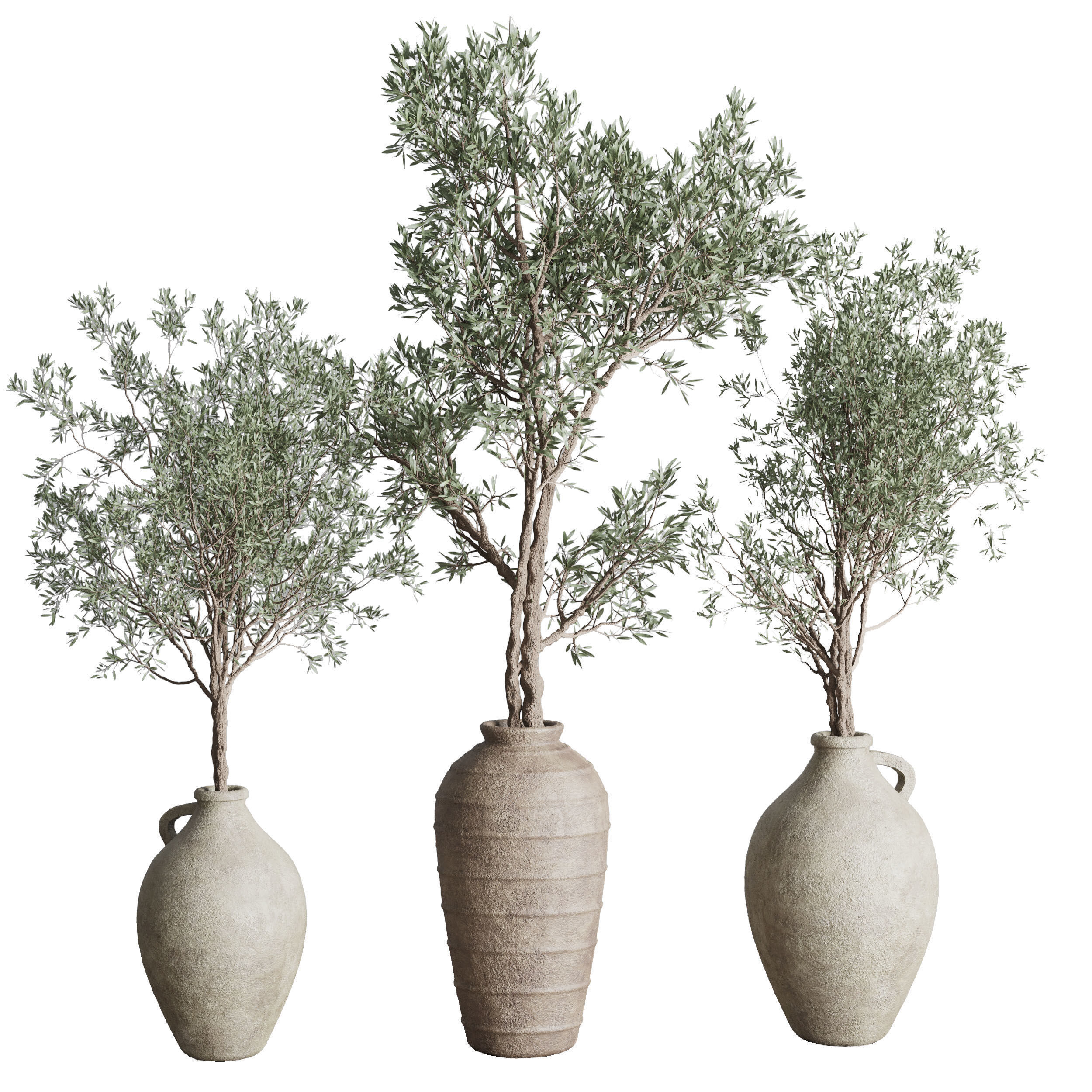Olive tree in an old earthenware vase  - Indoor plant set 553 3D model_1