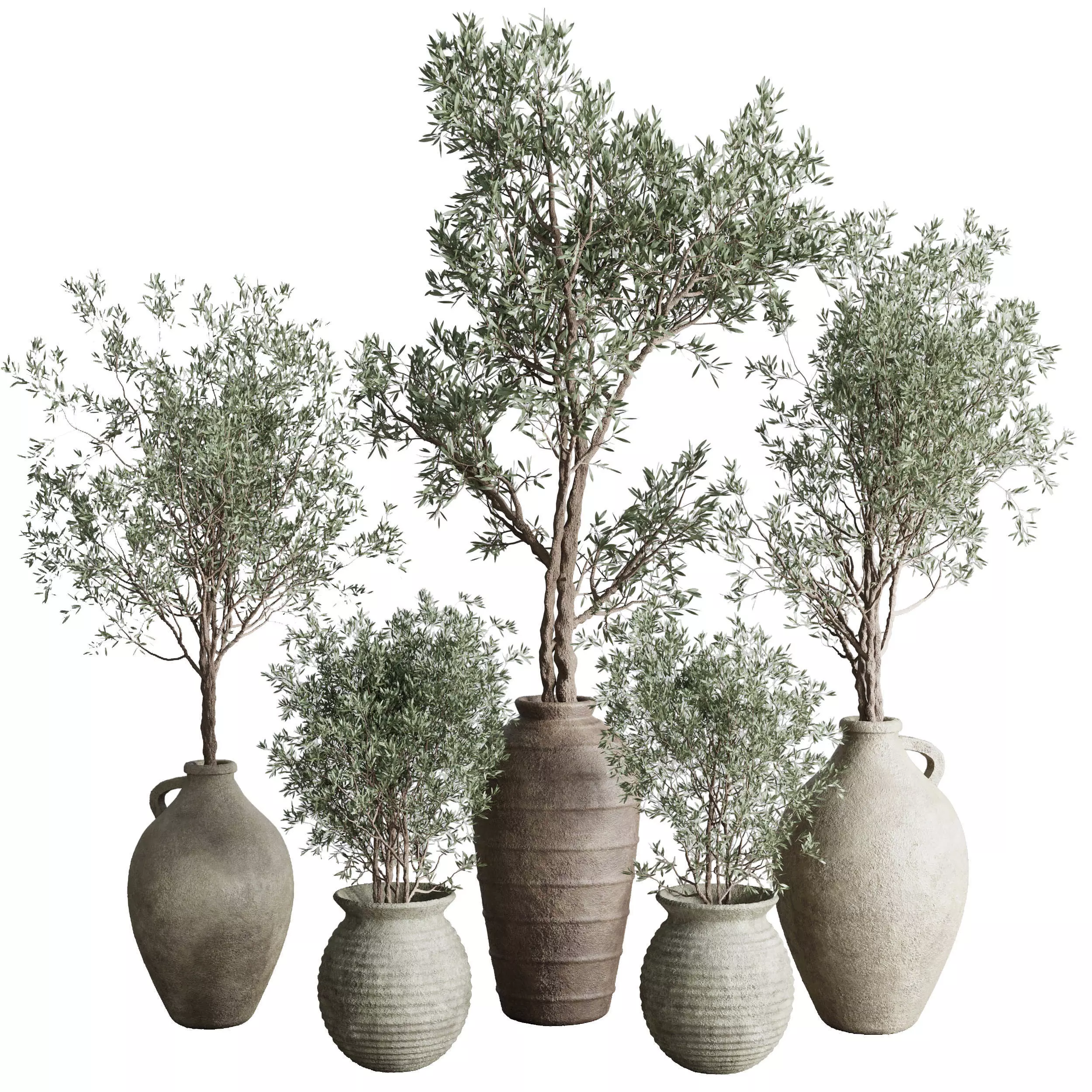 Olive tree in an old earthenware vase  - Indoor plant set 553 3D model_0