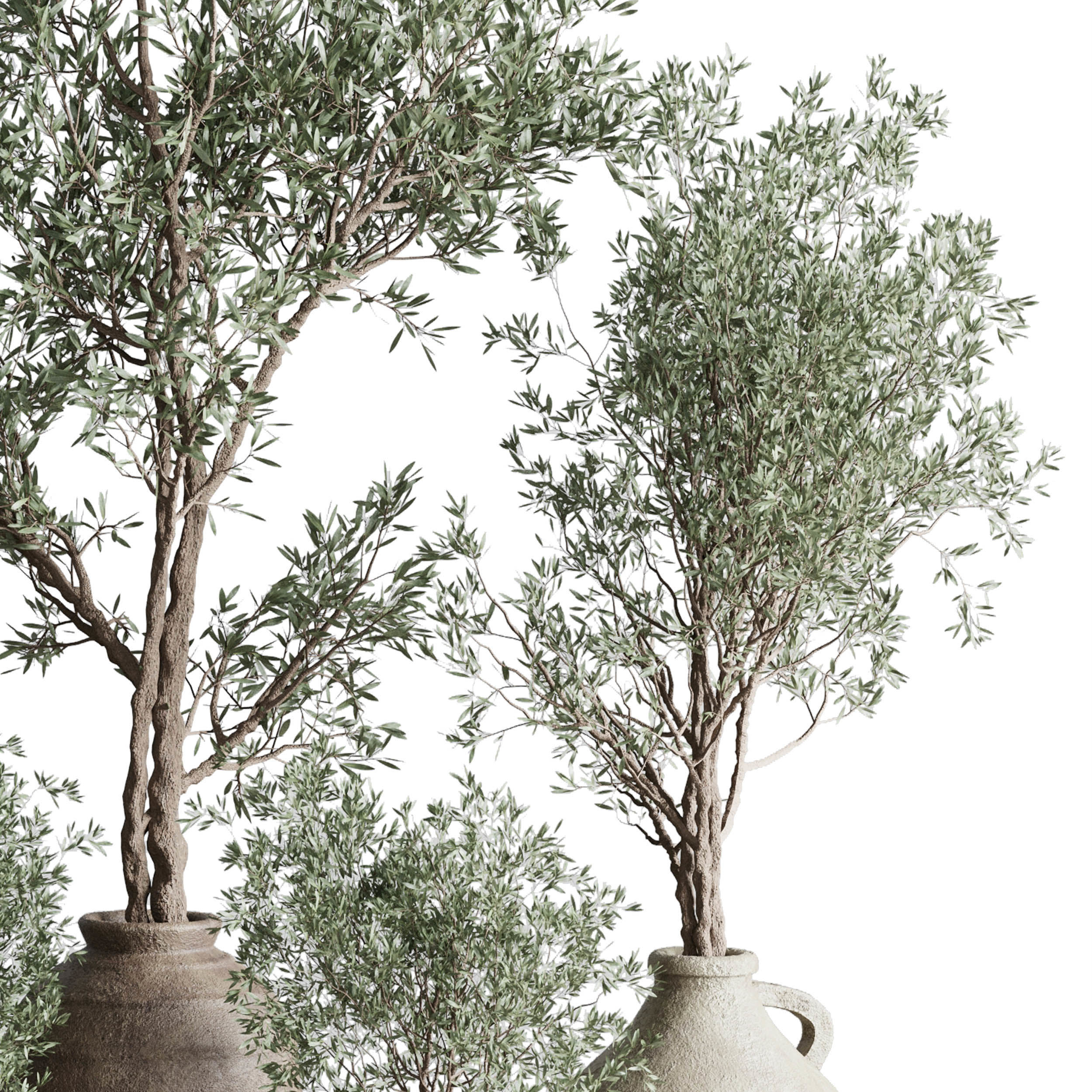 Olive tree in an old earthenware vase  - Indoor plant set 553 3D model_4
