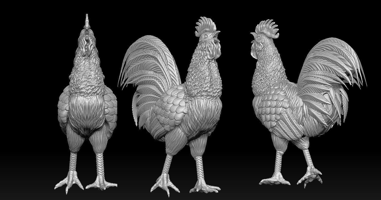 Rooster Statue 3D Print model 3D print model_9