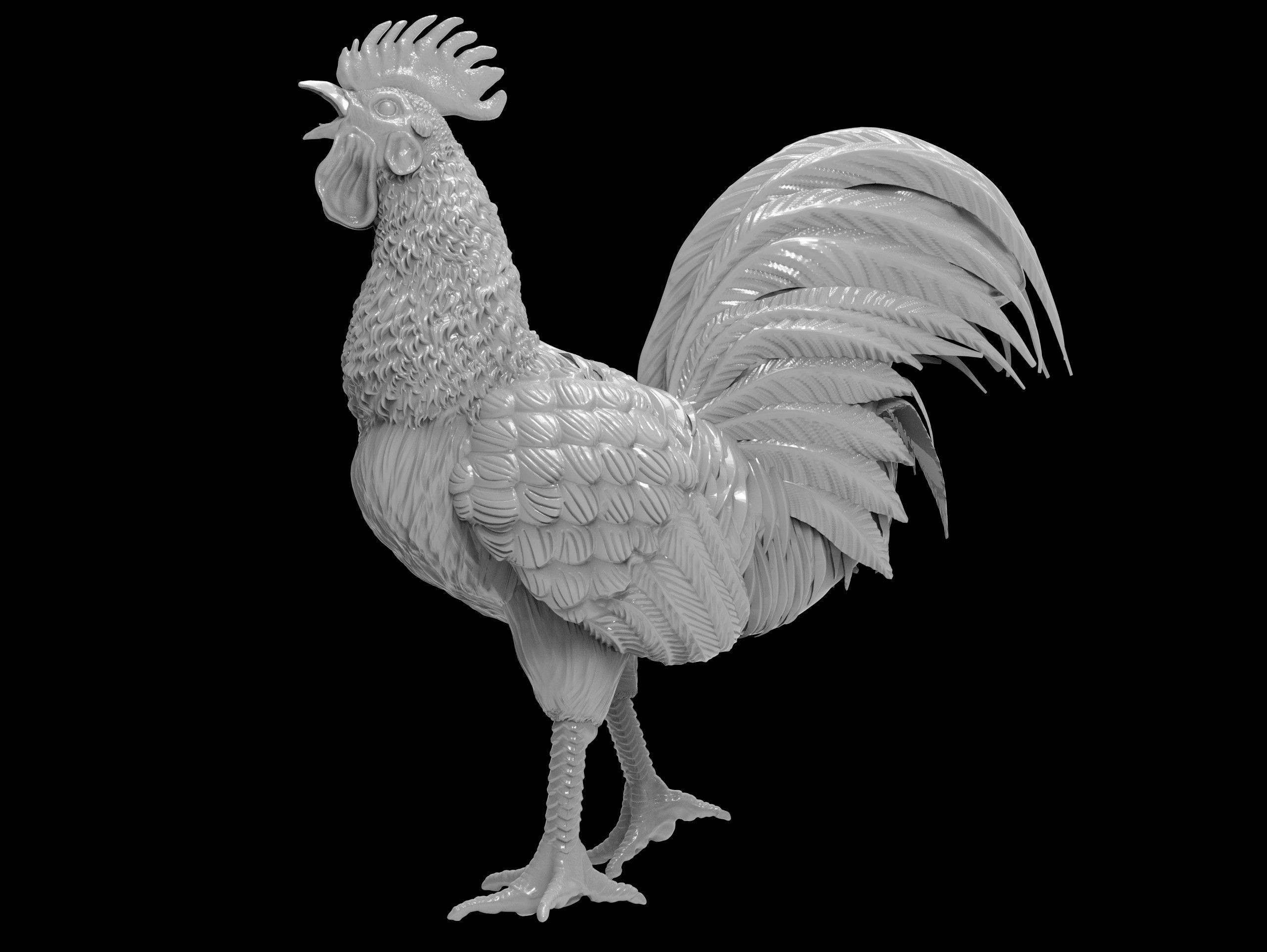 Rooster Statue 3D Print model 3D print model_36