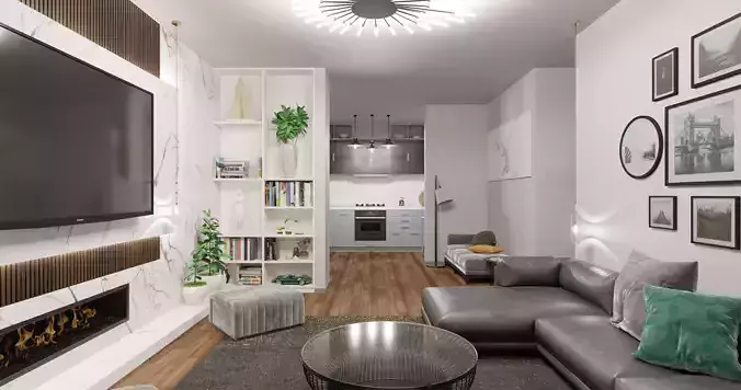3 Bedroom Apartment