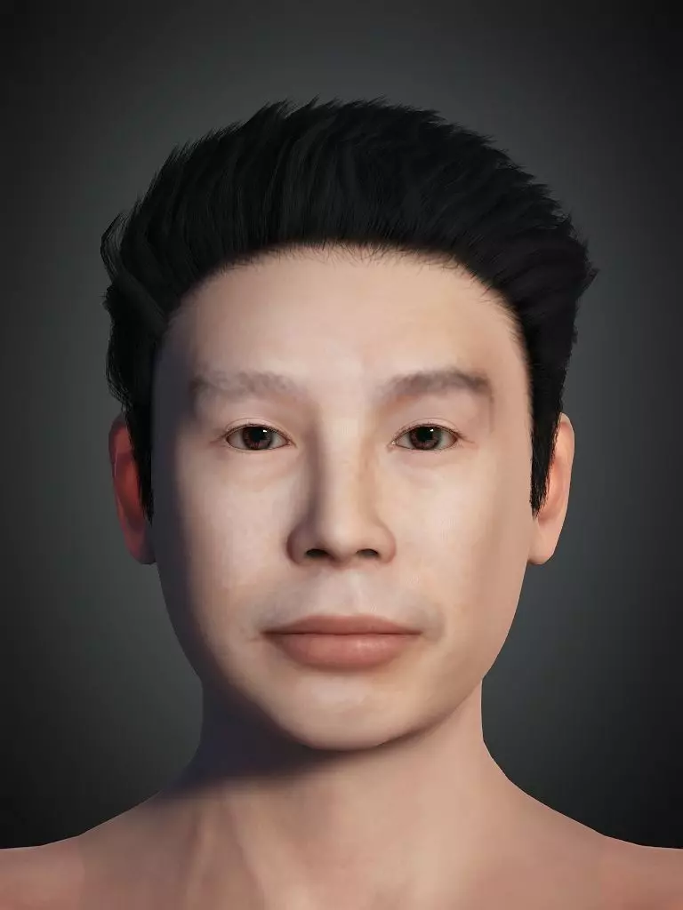 Digital Human Hair 01 Free low-poly 3D model_0