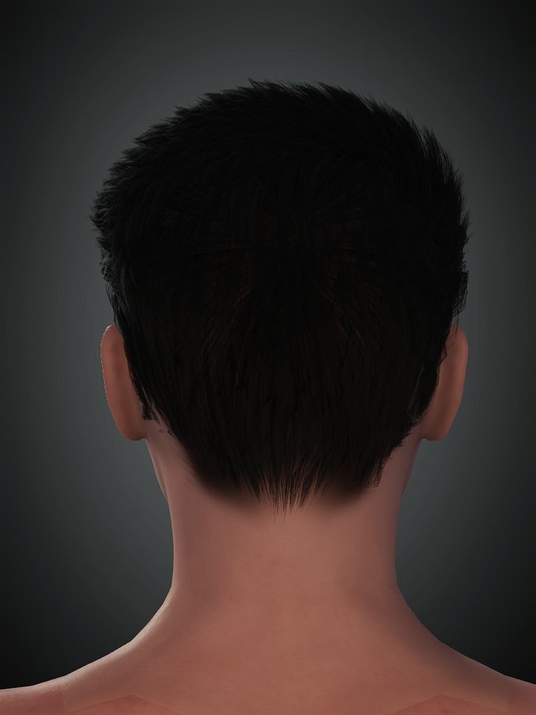 Digital Human Hair 01 Free low-poly 3D model_2