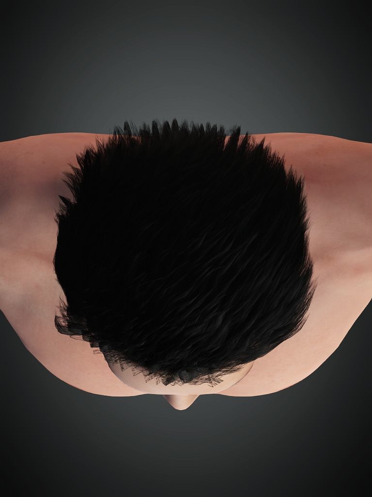 Digital Human Hair 01 Free low-poly 3D model_4