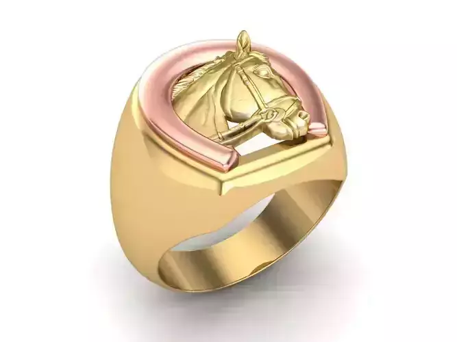 Horse Ring
