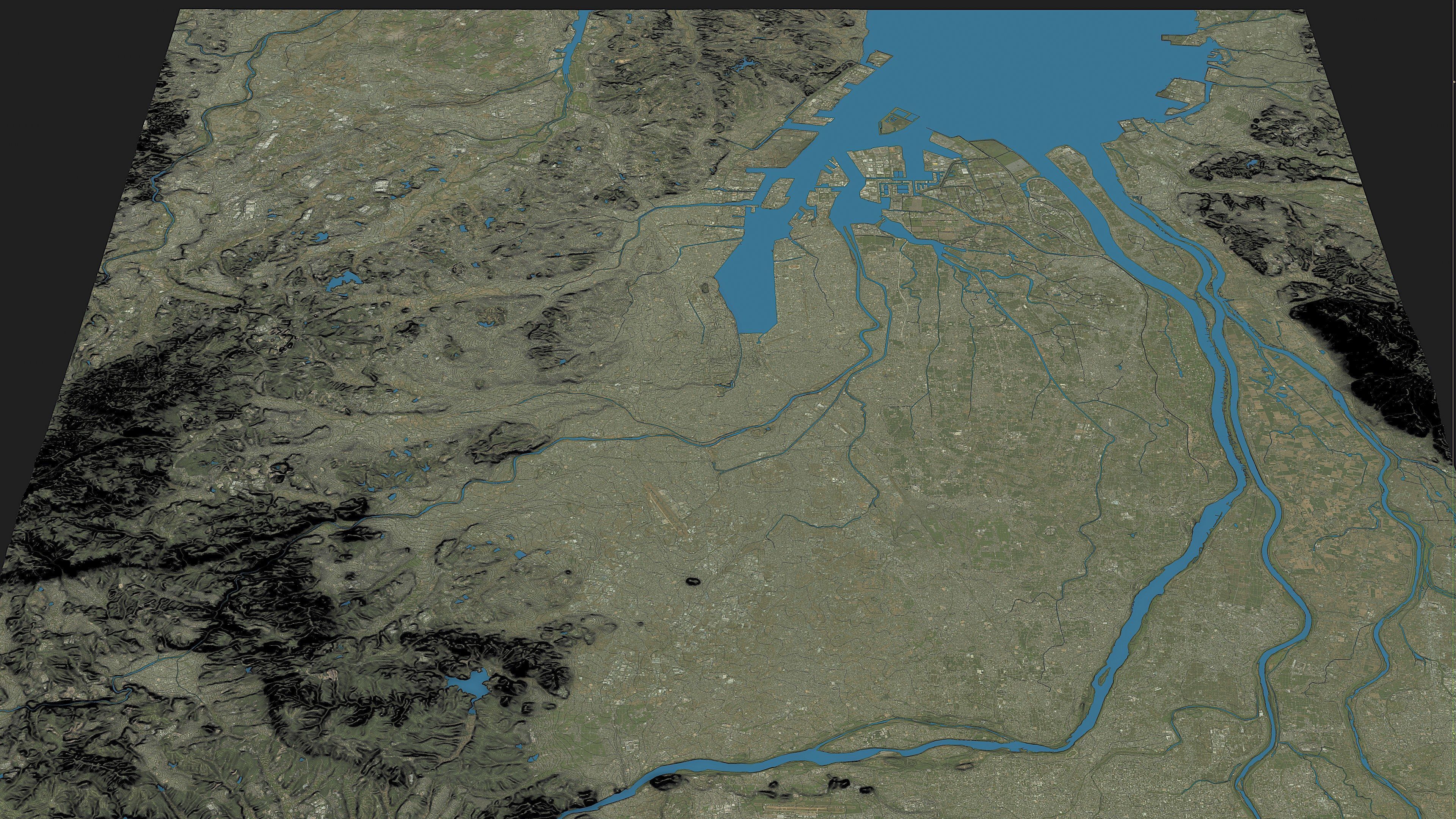 Nagoya - Topography Terrain Low-poly 3D model_9