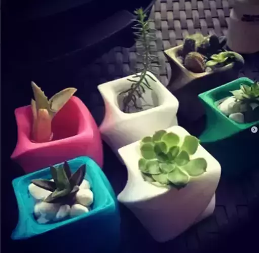 Simple and Beautiful decorative Planter  for Printing 