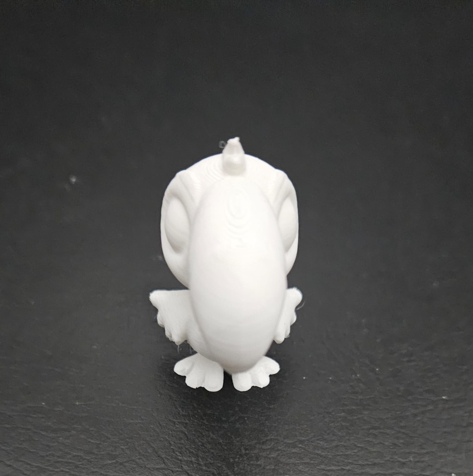 Cartoon Toucan 3D print model_11