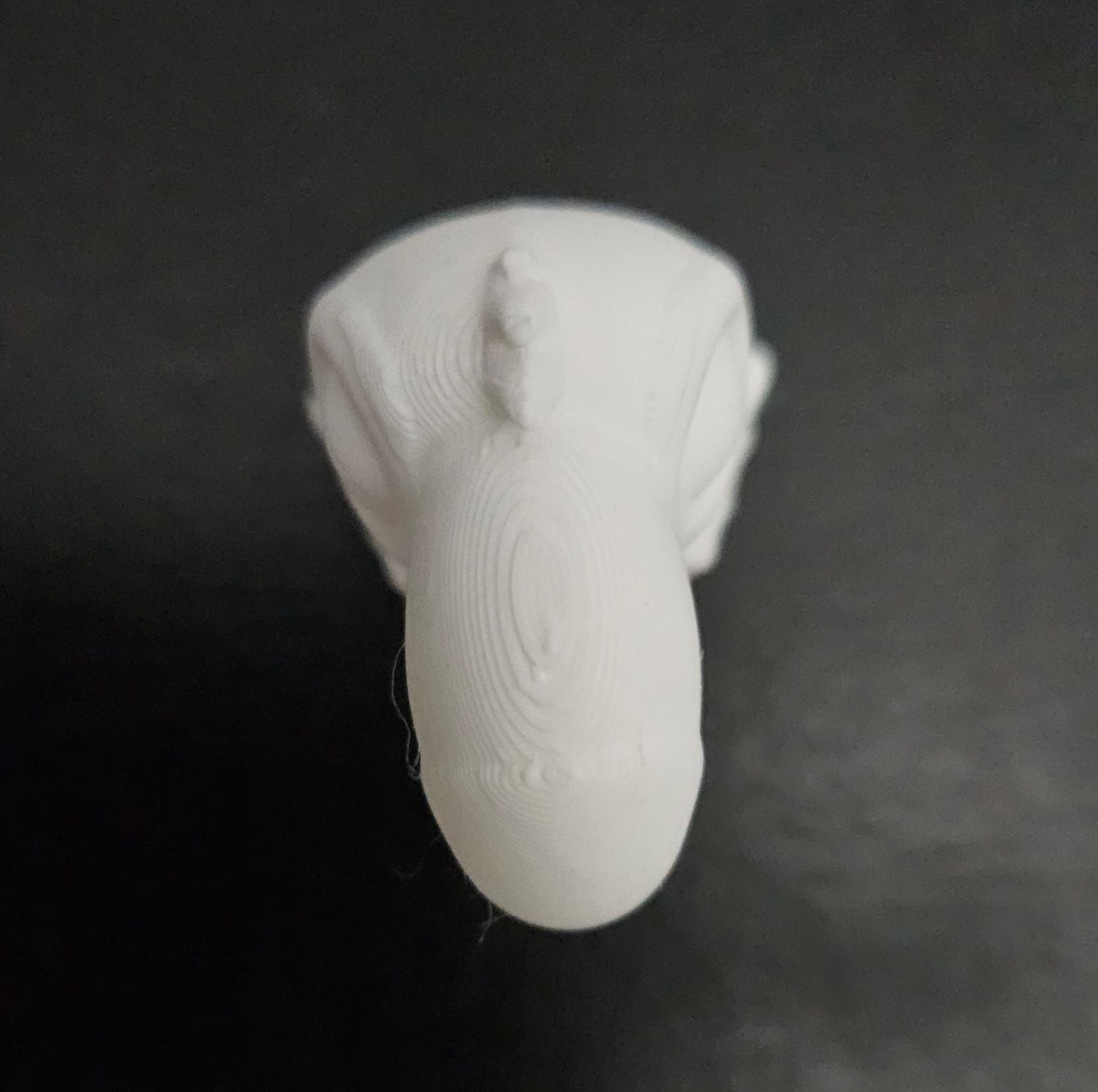 Cartoon Toucan 3D print model_12