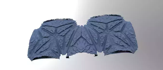 Art Deco Notra Dame cathedral Floor paneling halved