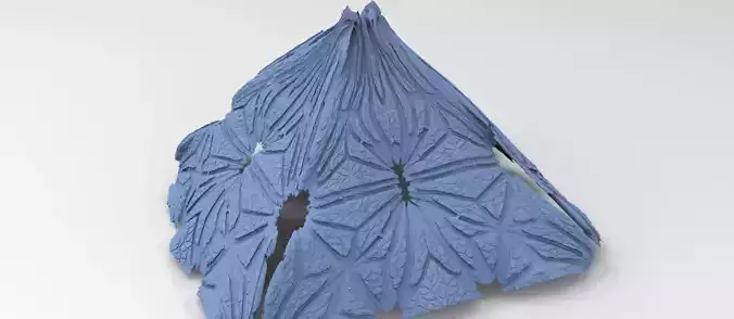 Art Deco Notra Dame cathedral Floor paneling 4 