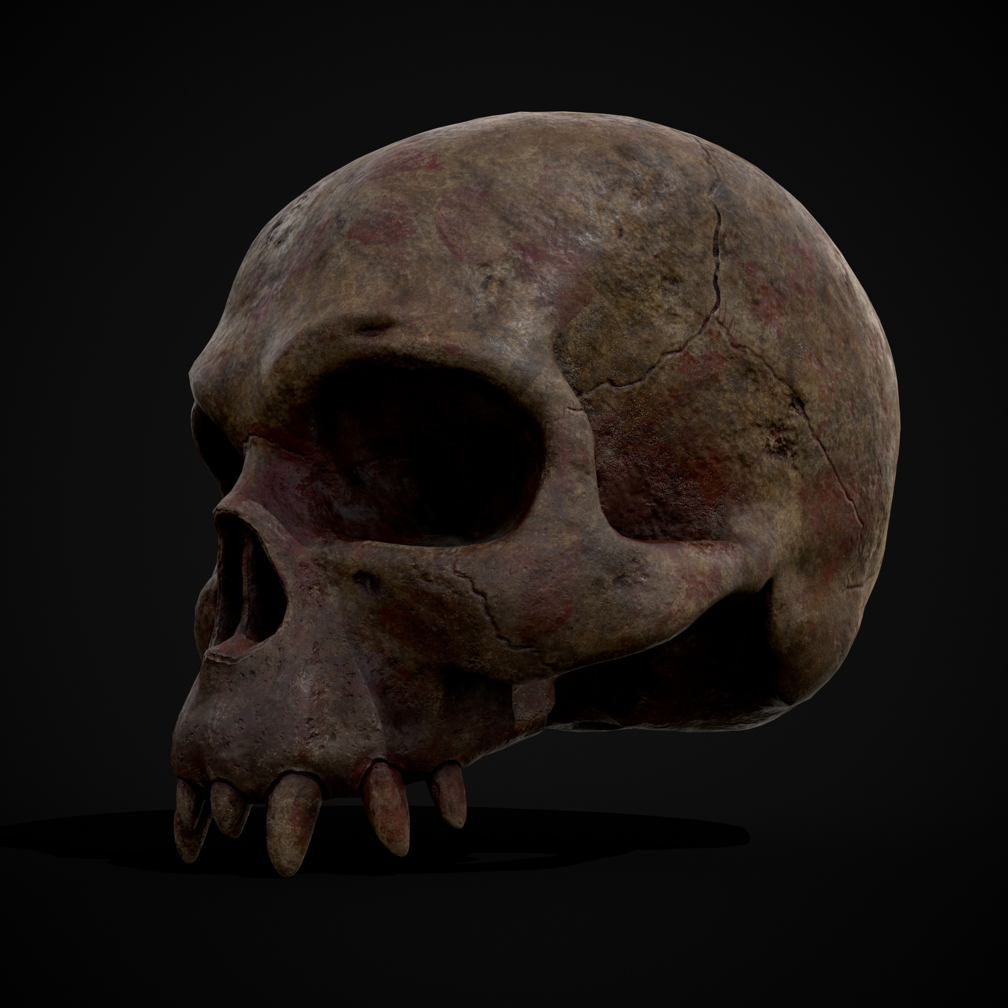 Child Vampire Skull Low-poly 3D model_7